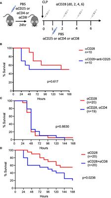 CD8+ T cells are necessary for improved sepsis survival induced by CD28 agonism in immunologically experienced mice